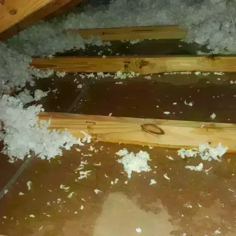 Attic Water Damage in McMillin, WA