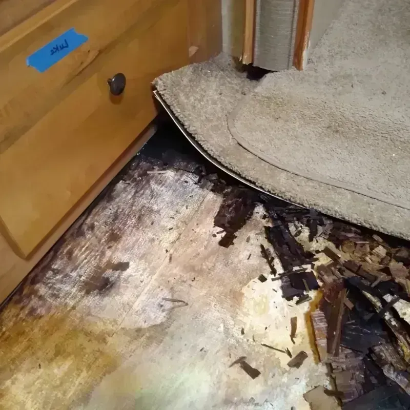 Wood Floor Water Damage in McMillin, WA